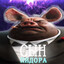 Сын пидора