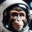 spacem0nkey