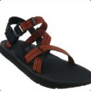 Shachar avatar