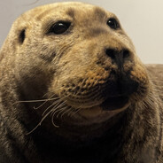 儒雅随和的Charles