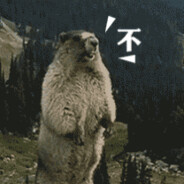 给趣多多点巧克力豆