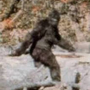 Bigfoot's Avatar