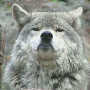 proemes - steam id 76561198296023085