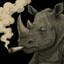 Rhino