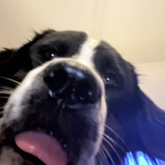 Yoki - steam id 76561199262104018