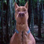 Scooby