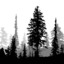 NFG_Faber