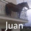 Juan