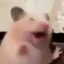 AEIOU