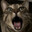 Joooooooooooooooooooooooooooooon