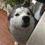 932662102