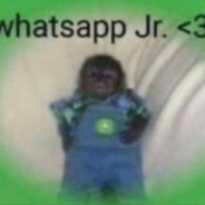 Whatsapp Jr.