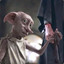 Dobby&#039;s Sock