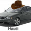 haudi