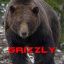 [KING.DP].:GriZZly:.