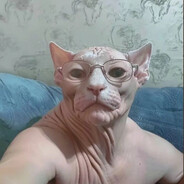 Avatar snapshot