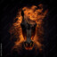 Horse On Fire