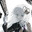 Spectral Bunny's Avatar