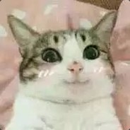 你心里没点逼数吗？？？