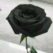 吸铁头盔在线被爆