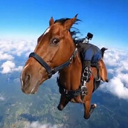 BBQ Chicken Alert - steam id 76561198803137702