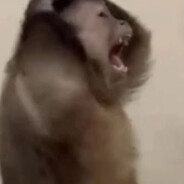 qazwsxedcrfvtgbyhnujmikolp