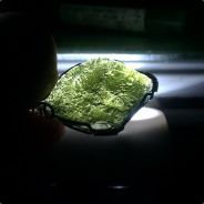 獅子戰吼~