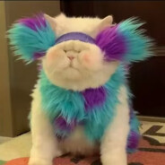 AAA建材批发王哥