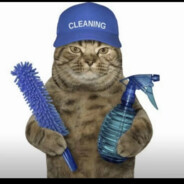 清洁猫