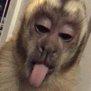 rikosuaveyatusabe