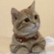 嫂子开门我是我哥