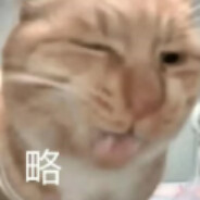 梅由狸猫