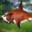 bull shark testosterone