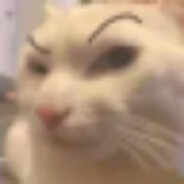 ❤涉谷小野貓❤