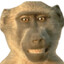 Monke