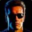 Awe Schwarzenegger