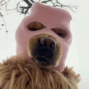 我在沙二坐大牢