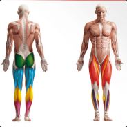 'Pr0hibé. - steam id 76561197960694678