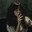 trying my bestrogen Steam avatar