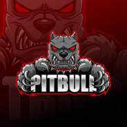 PitBull
