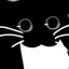 are you spy yes