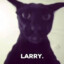 Evil Larry