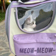 你算哪块小蛋糕