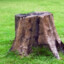 Stump