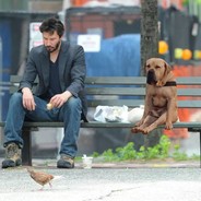 无情的白给机器