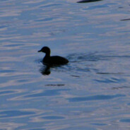 运气运气超爆棚