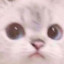 2470