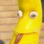 Dendi Marron