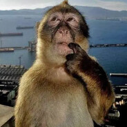 The Inquisitive Chimp