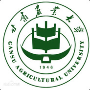 信仰在空中飘扬